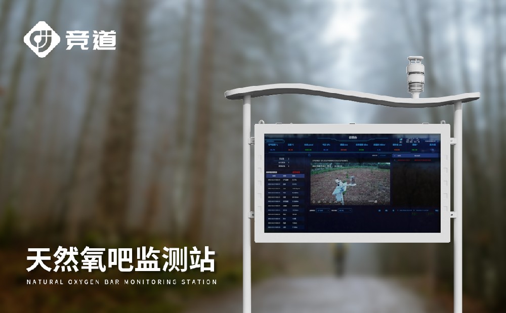 負氧離子監測系統